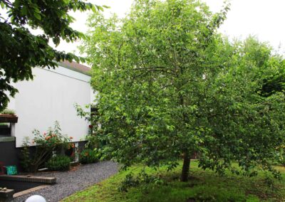 Offene Gärten Erlensee 2025_Weigand, Thiemann 14